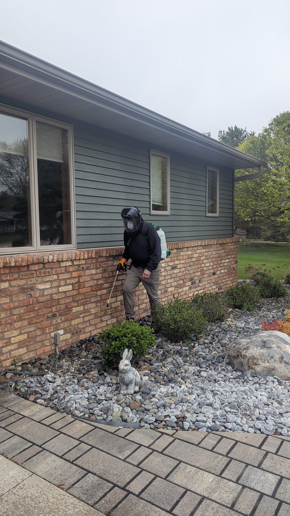 Insect control service by Exodus 8 Pest Control