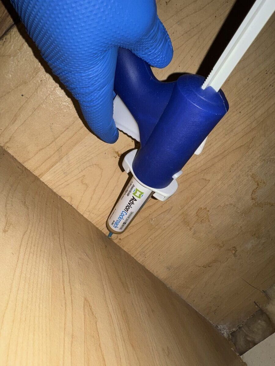 Cockroach gel bait treatment by Exodus 8 Pest Control