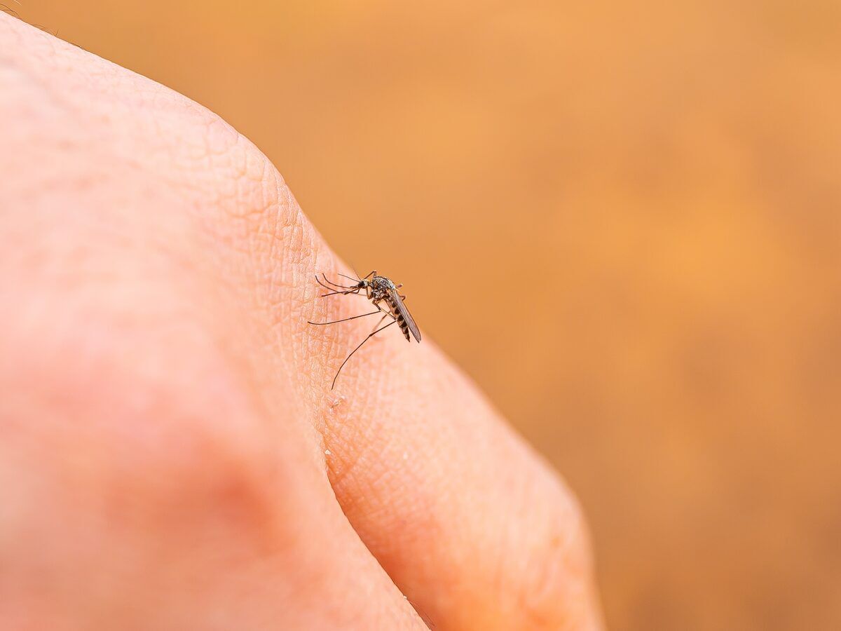 Mosquito and tick control in West Central MN